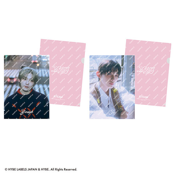 &team clear file collection
